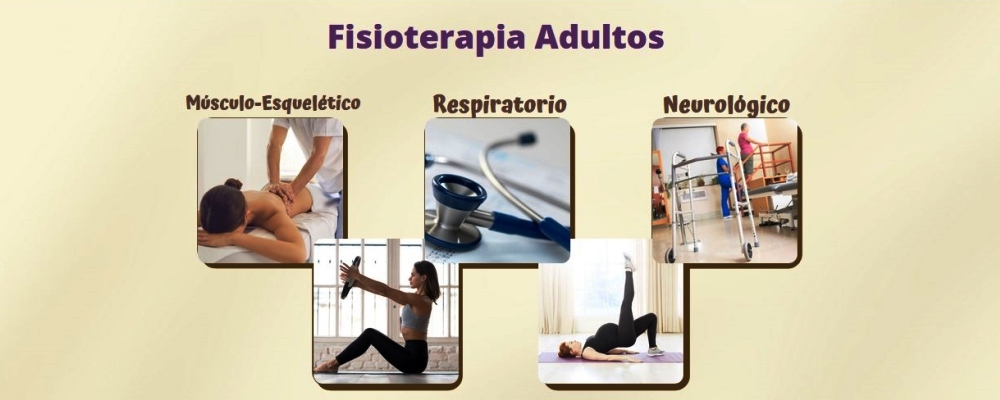banner-1-MONICA VILARIÑO FISIOTERAPIA